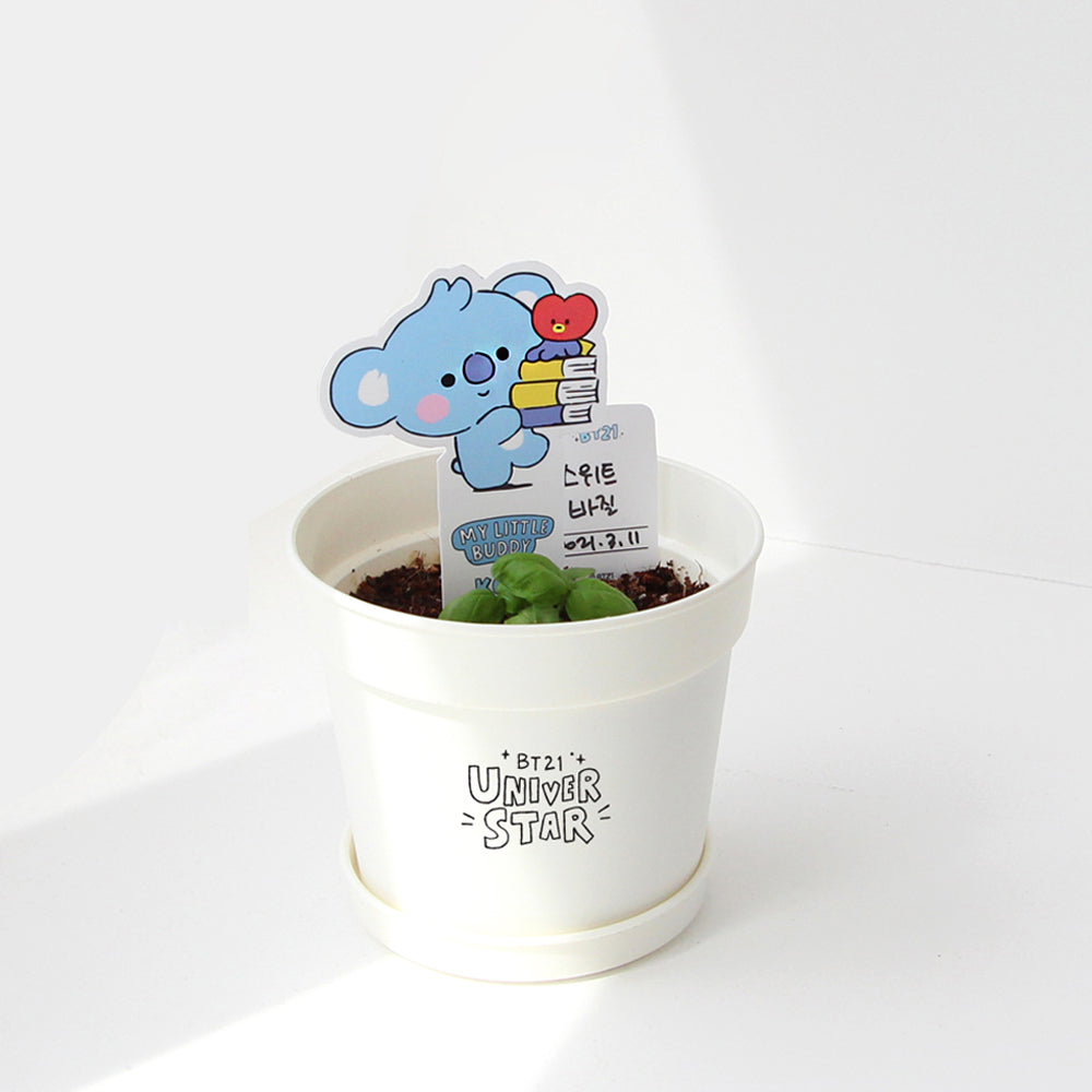 BT21 Baby Seed Stick Kit