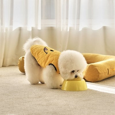 KNOTTED Ceramic Food Bowl Pet Food Bowl