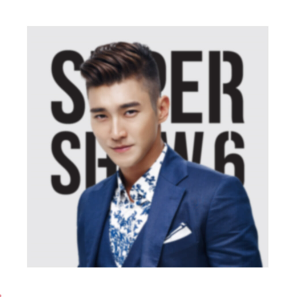 SUPER JUNIOR Super Show 6 Cushion Cover (Siwon)