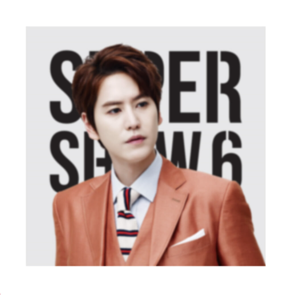 SUPER JUNIOR Super Show 6 Cushion Cover (Kyuhyun)