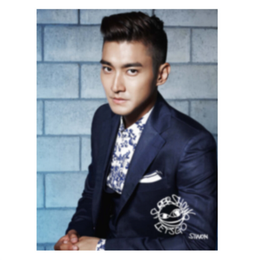 SUPER JUNIOR Super Show 6 Bromide (Siwon)