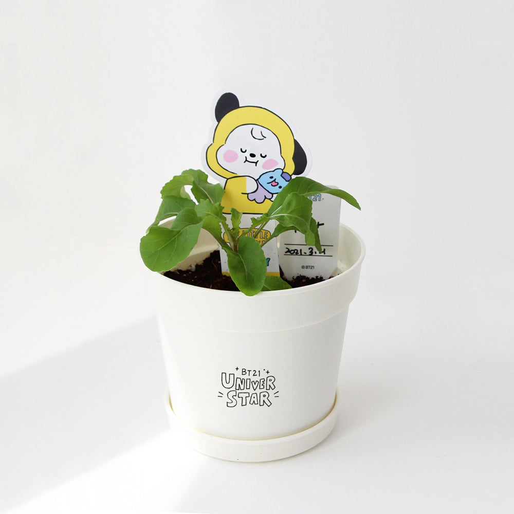 BT21 Baby Seed Stick Kit