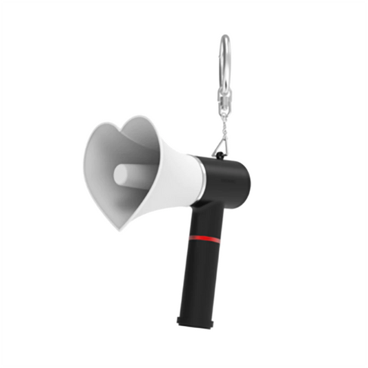 THE BOYZ Official Lightstick Keyring